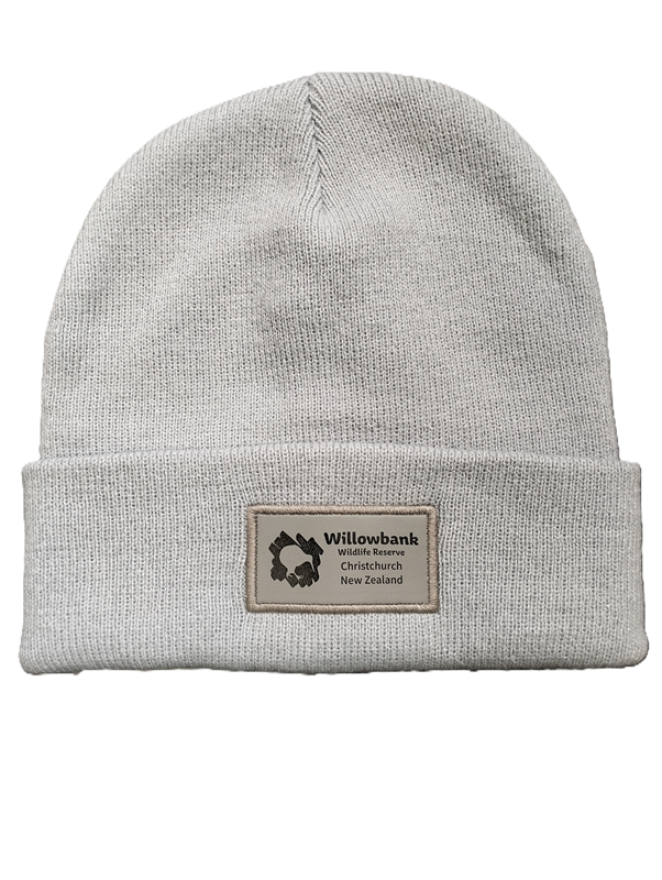 Willowbank Beanie