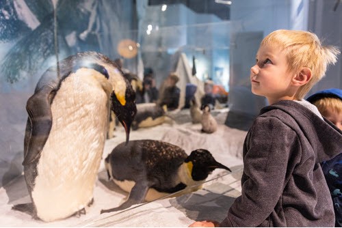 Ambassador Club - Child