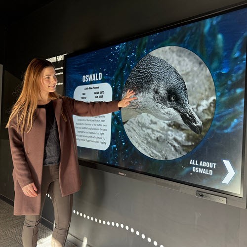 Ambassador Pass Adult