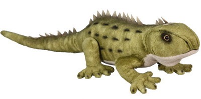 Tuatara with sound 50cm