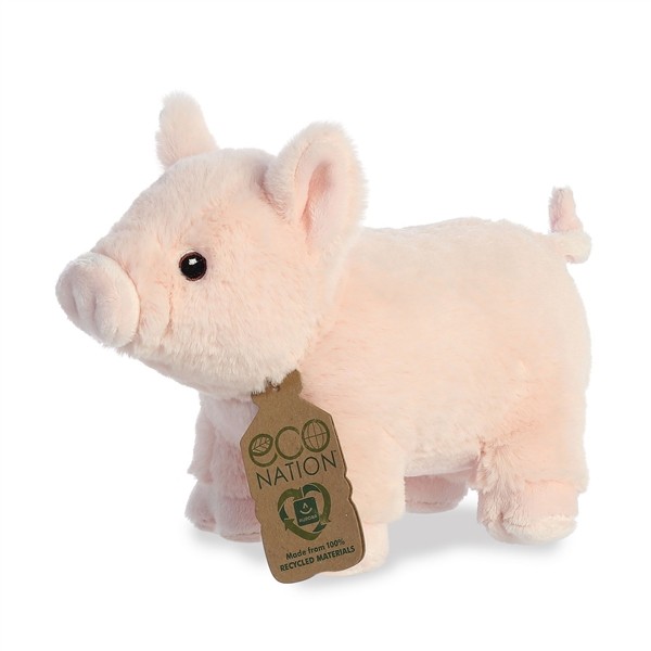 Pig - eco nation