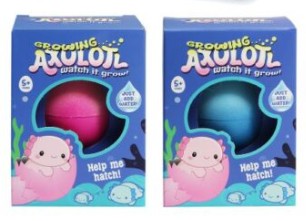 Growing egg - Axolotl